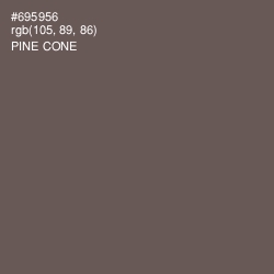 #695956 - Pine Cone Color Image